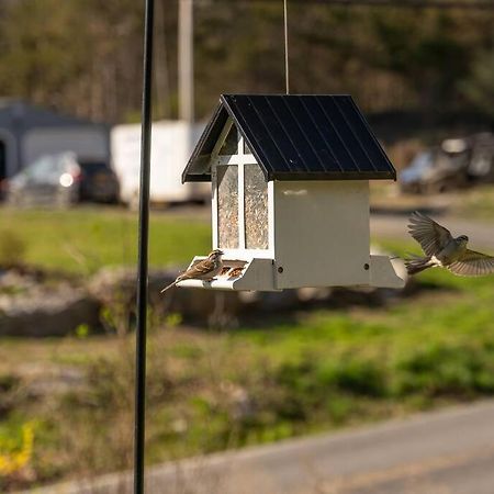 Cozy Cottage, Hot Tub, Fire Pit, 15Min To Hudson And Hiking Catskill Εξωτερικό φωτογραφία