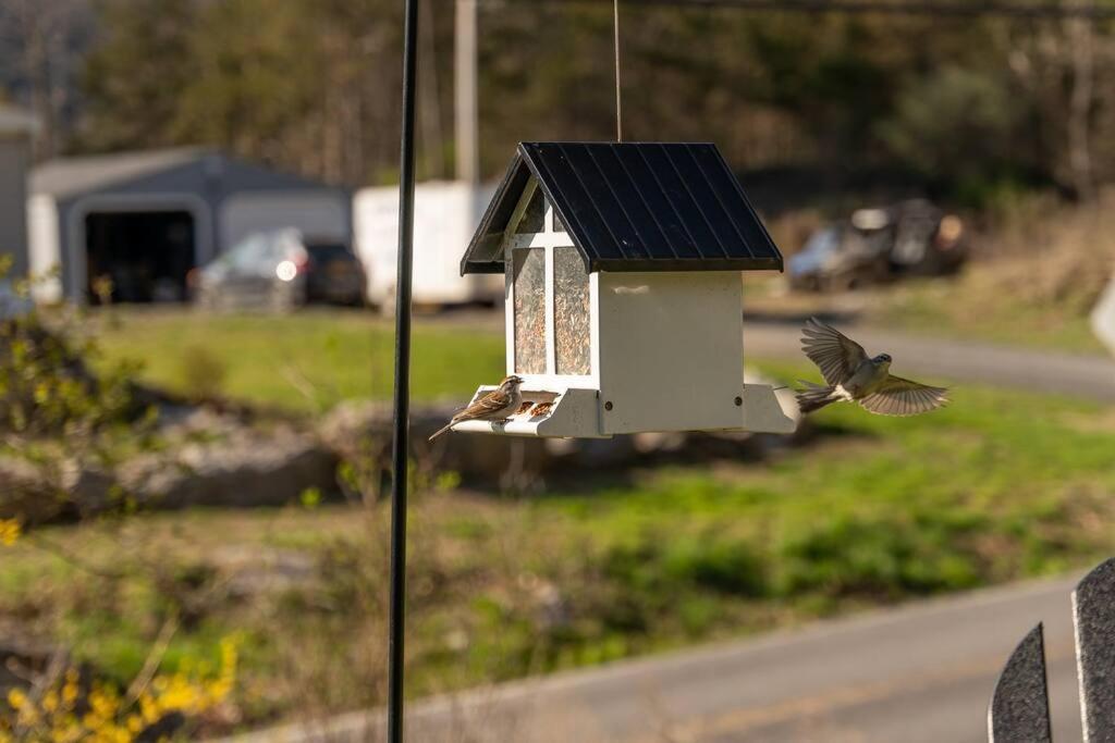 Cozy Cottage, Hot Tub, Fire Pit, 15Min To Hudson And Hiking Catskill Εξωτερικό φωτογραφία
